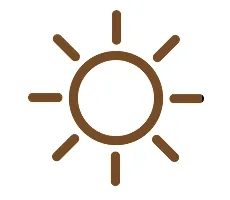 平日デイ会員